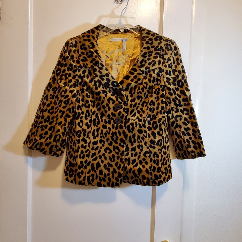 classiques entier leopard print velvet jacket